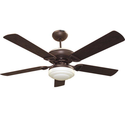 Ventilador Janeiro 52