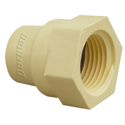 Adaptador hembra de 13mm de CPVC cementar 301405 Gold Union