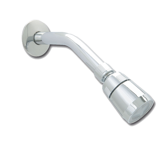 Regadera con brazo y chapetón 3003B